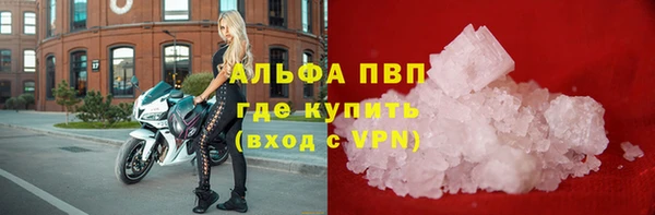ECSTASY Горняк
