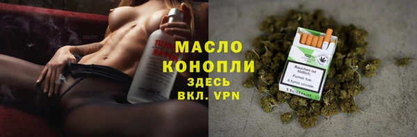 ECSTASY Горняк