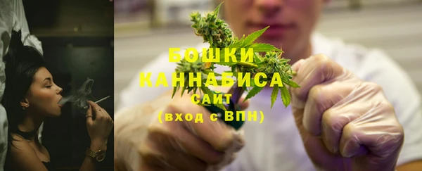 ECSTASY Горняк