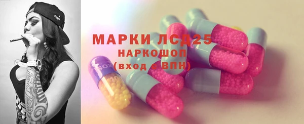 ECSTASY Горняк