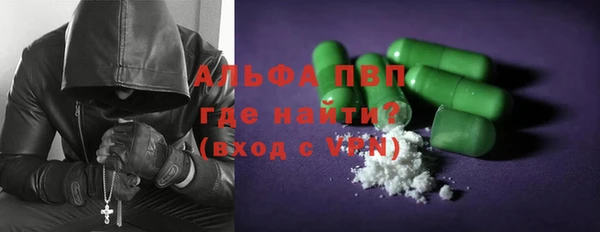 ECSTASY Горняк