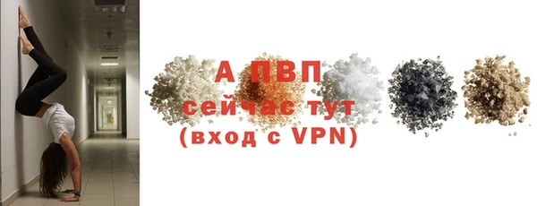 ECSTASY Горно-Алтайск