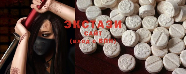 ECSTASY Горняк