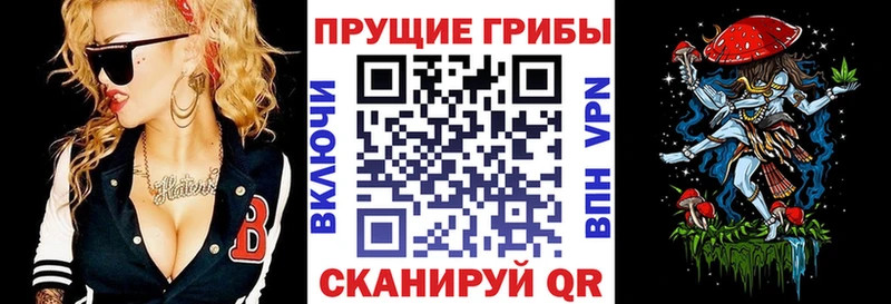 Псилоцибиновые грибы Cubensis  Дорогобуж 
